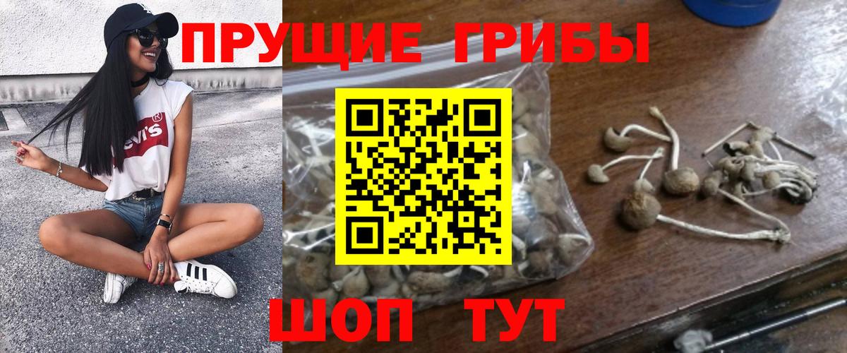 Нижневартовск  Псилоцибиновые грибы MAGIC MUSHROOMS  Вход с VPN 